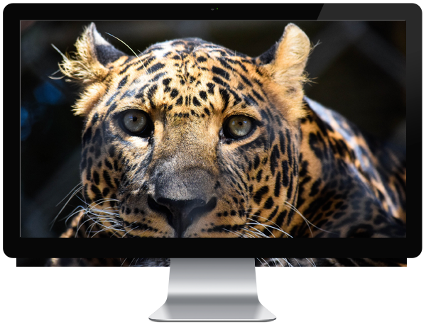 Startseite mit anpassbarem Hintergrundbild